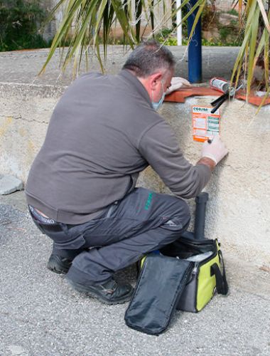 Derattizzazione